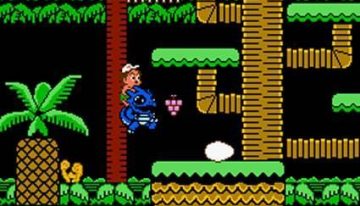 Adventure Island (video game)