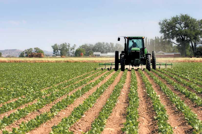 tractor plowing the fields