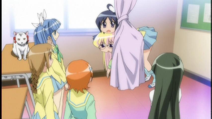 Pani Poni
